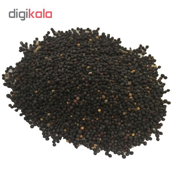 خاک پلنت آکواریوم مدل snd2 وزن 500 گرم