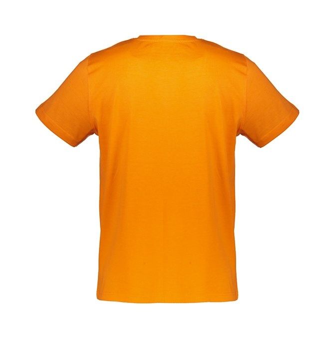 تی شرت مردانه آلپاین پرو مدل UNEG 3-343