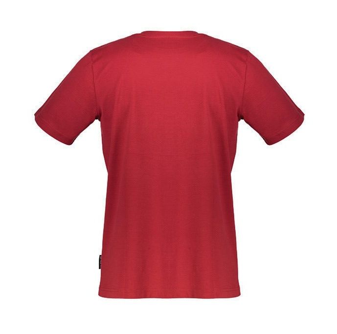 تی شرت مردانه آلپاین پرو مدل DEFO 2-445