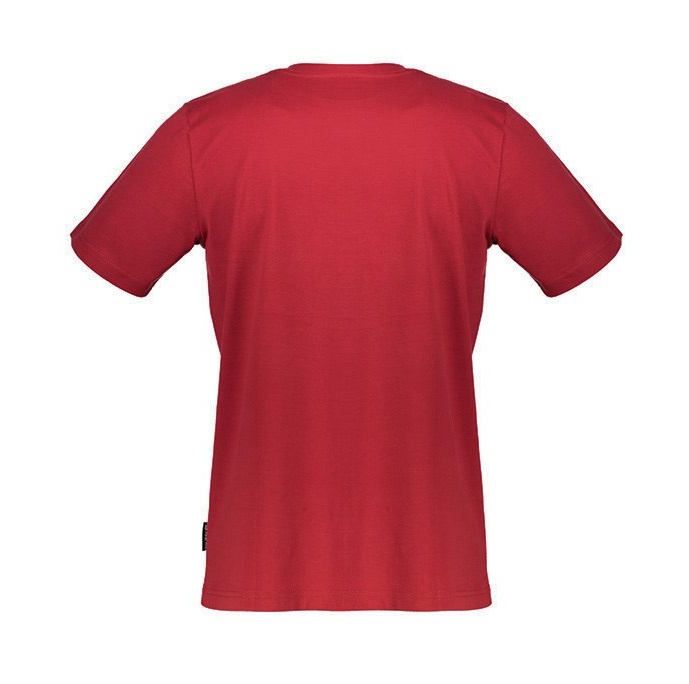 تی شرت مردانه آلپاین پرو مدل DEFO 2-445
