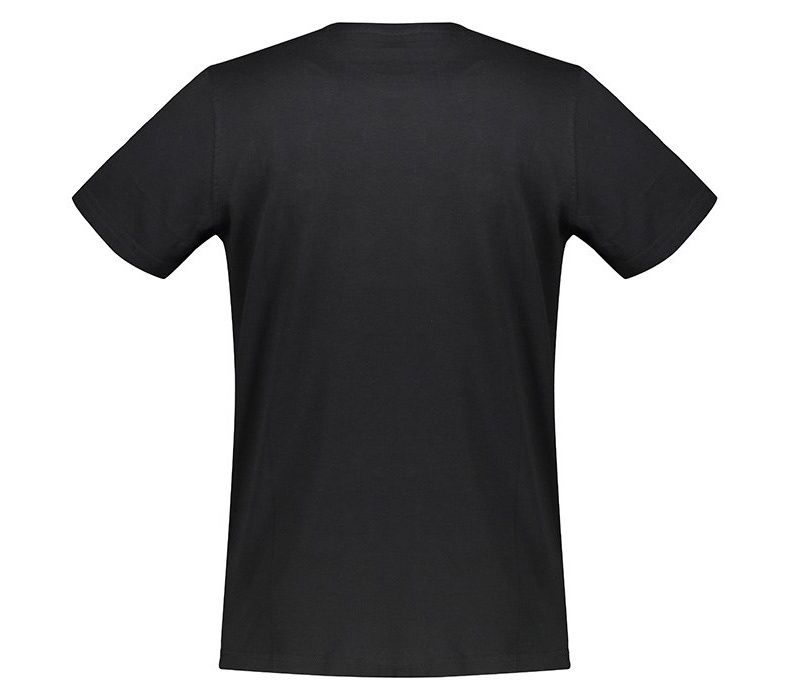 تی شرت مردانه آلپاین پرو مدل HEIDUC-990 -  - 5