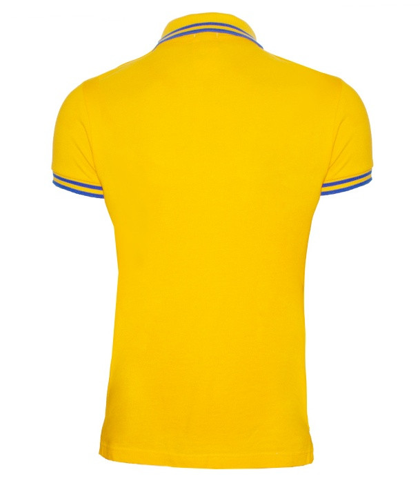 پولوشرت مردانه فرانکلین مارشال مدل Piouet classic کد 240t