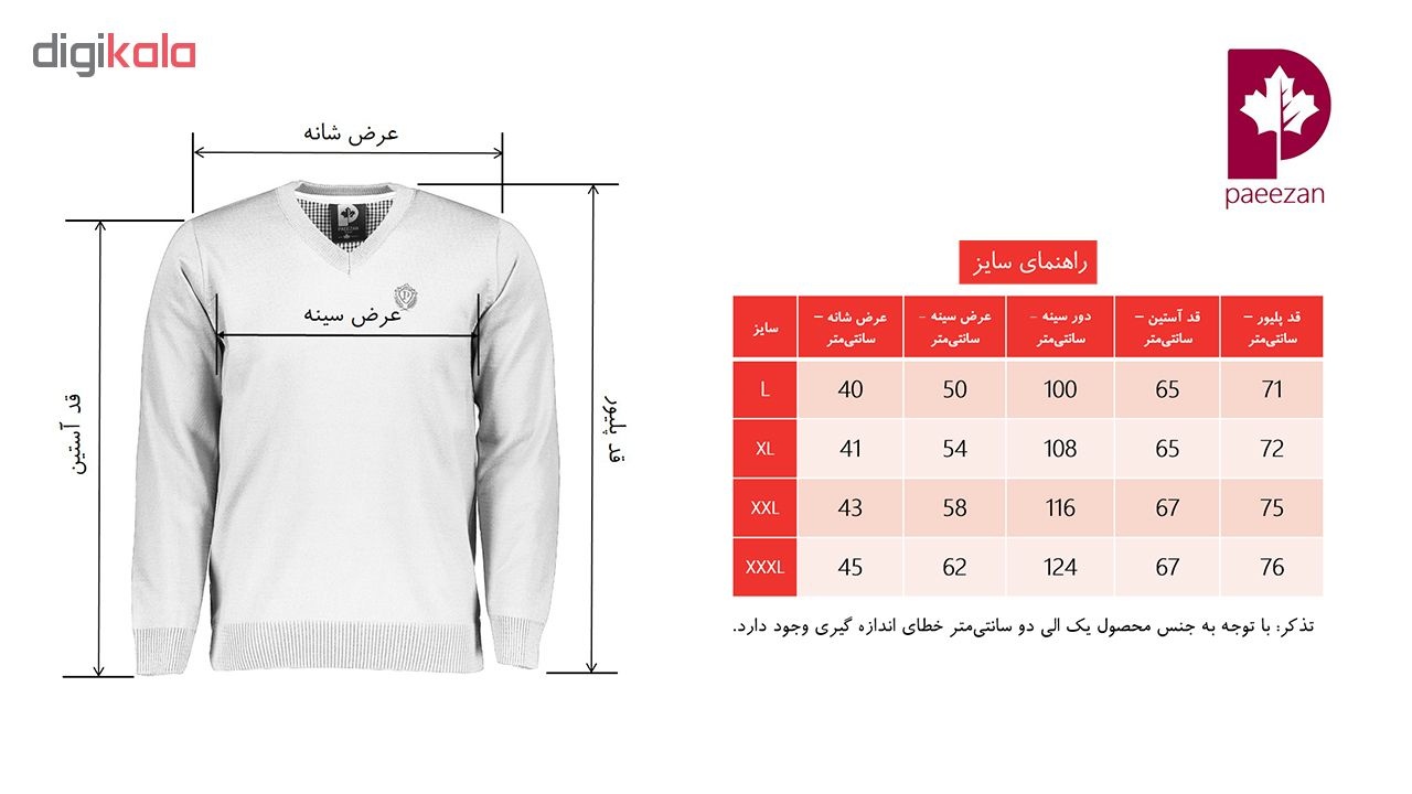 پلیور مردانه پاییزان مدل P700 کد C1