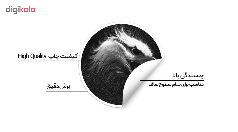 استیکر لپ تاپ ماسا دیزاین طرح عقاب مدل STK815