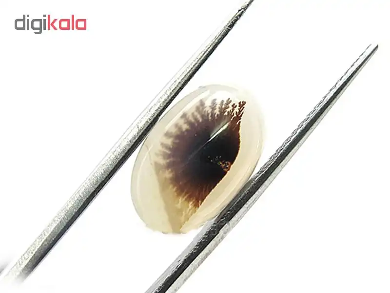 سنگ عقیق شجر کد 5070