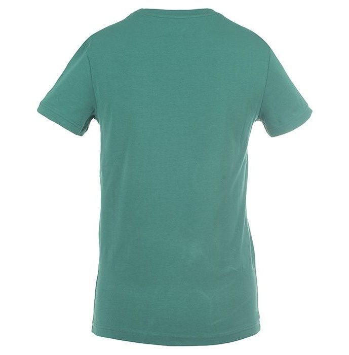 تی شرت مردانه بیلسی مدل TB18MF07S3841-1-EDEN -  - 4