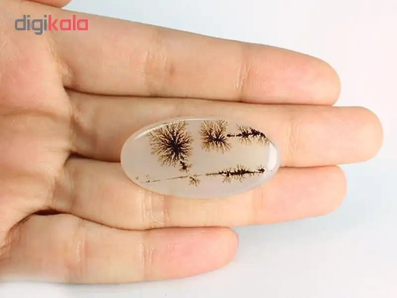 سنگ عقیق شجر کد 5359