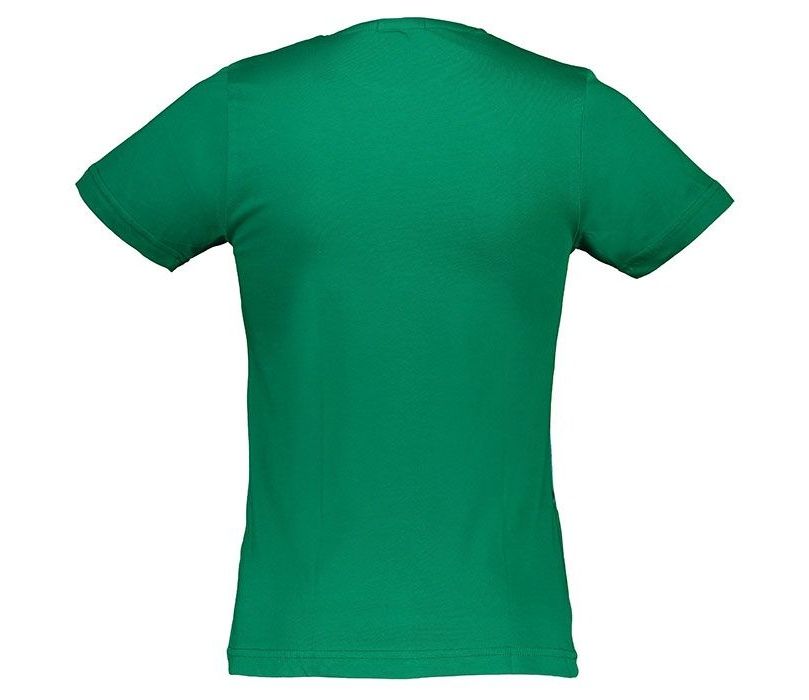 تی شرت مردانه آر ان اس مدل 1131017-43 - آر اِن اِس -  - 5