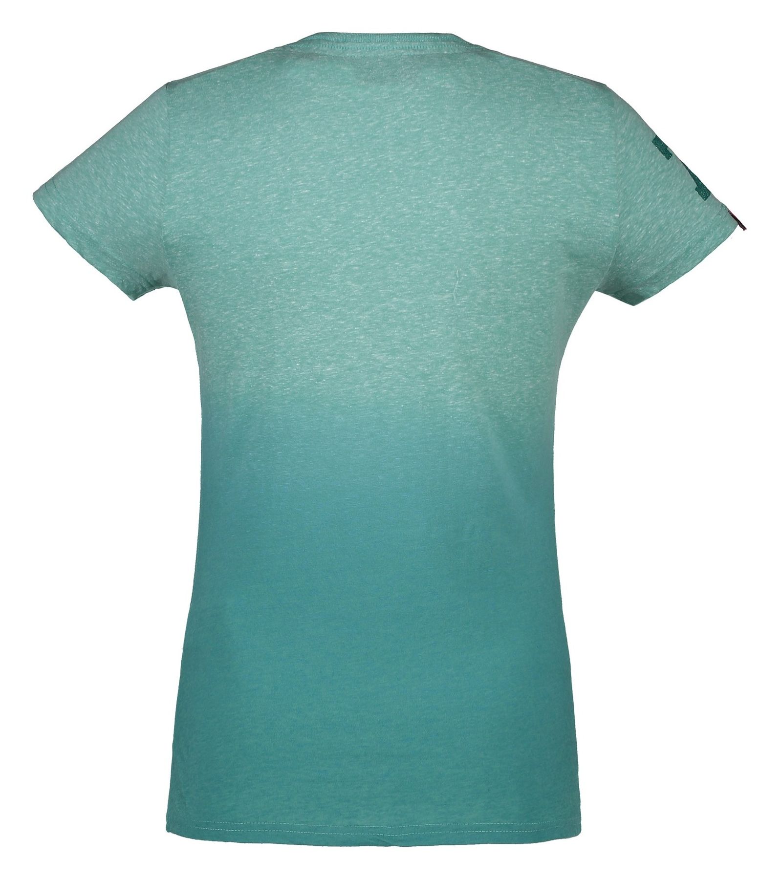 تی شرت یقه گرد زنانه Vintage Logo Snowy - سوپردرای - سبز آبي - 3