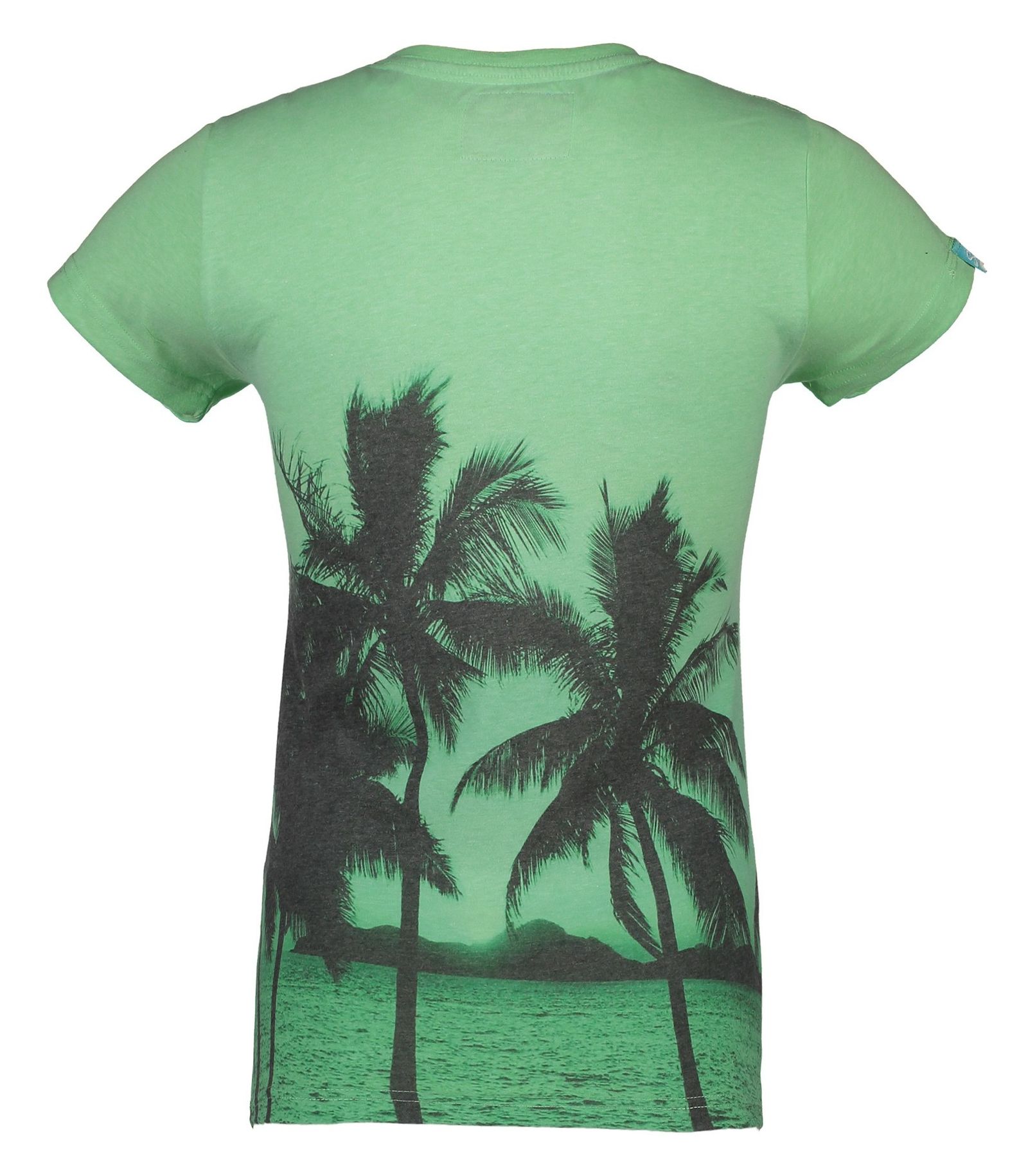 تی شرت نخی یقه گرد زنانه Photographic Entry - سوپردرای - سبز - 3