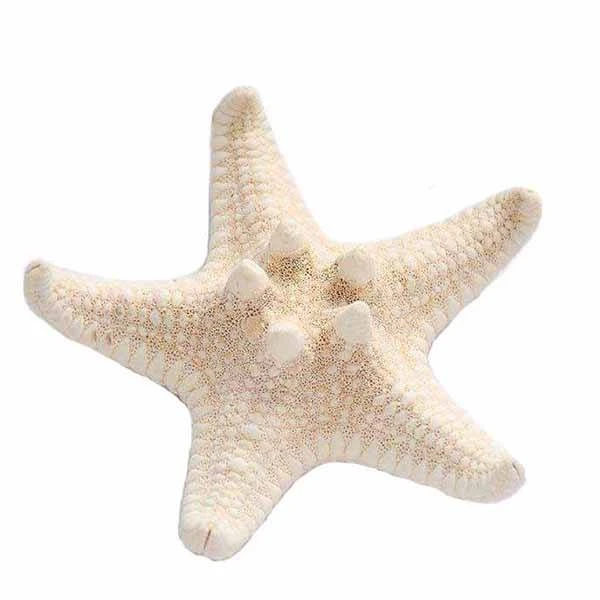 دکوری طرح ستاره دریایی مدل LOW01