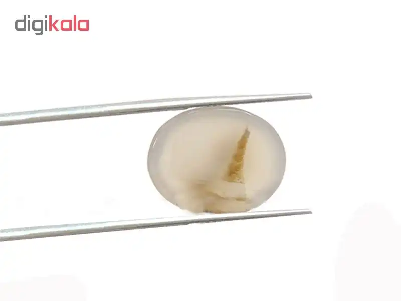 سنگ عقیق شجر کد 5365