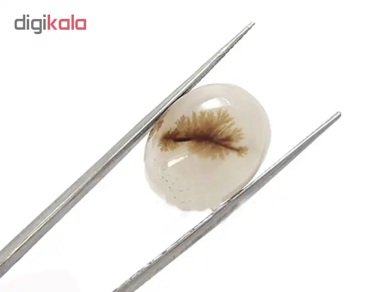 سنگ عقیق شجر کد 5365