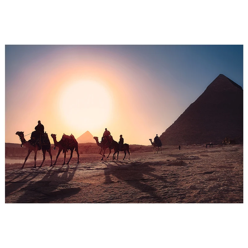 تابلو شاسی طرح مصر کد N22