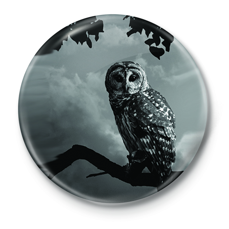 پیکسل طرح جغد کد 38.20