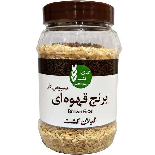 برنج قهوه ای سبوس دار گیلان کشت مقدار 500 گرم