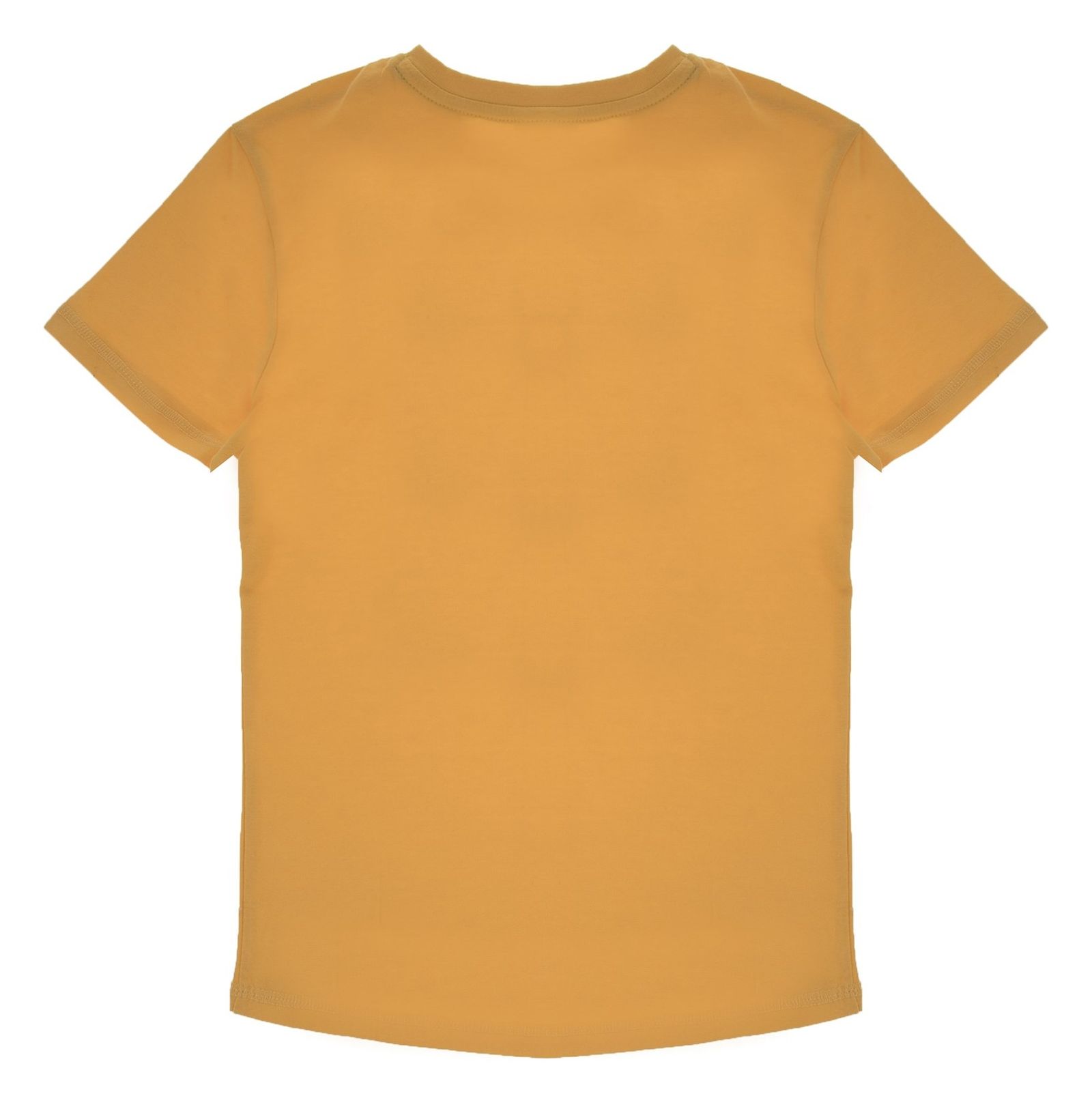 تی شرت نخی یقه گرد پسرانه - بلوکیدز - زرد - 3