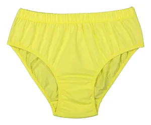Women Slip Brief - AVA