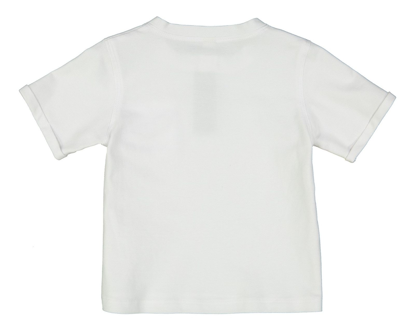 تی شرت نخی یقه گرد پسرانه آرش - دایان - سفید - 2