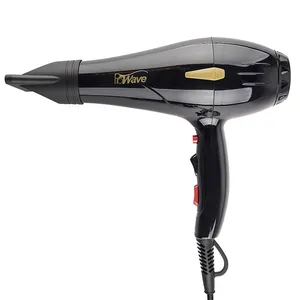 Prowave PW-3109 Professional Hair dryer