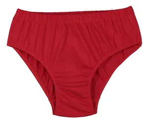 Women Slip Brief - AVA