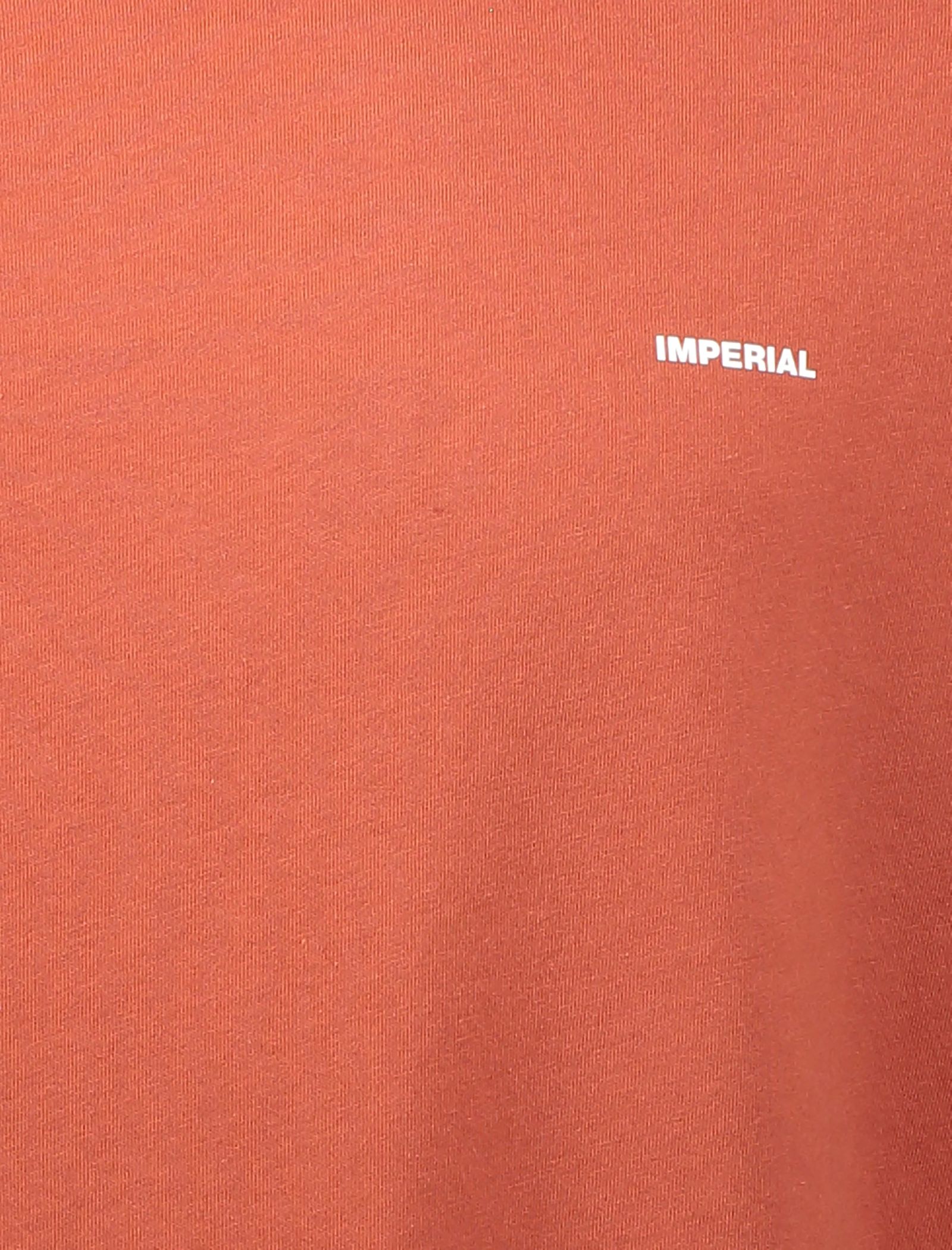 تی شرت نخی یقه گرد مردانه - امپریال - آجري - 6