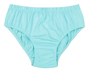 Women Slip Brief - AVA
