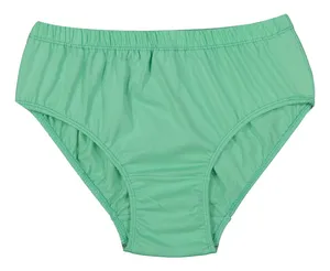 Women Slip Brief - AVA