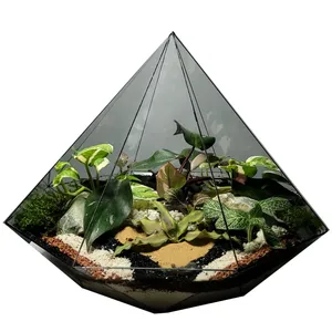 تراریوم ترارتوس مدل دایموند کد 01