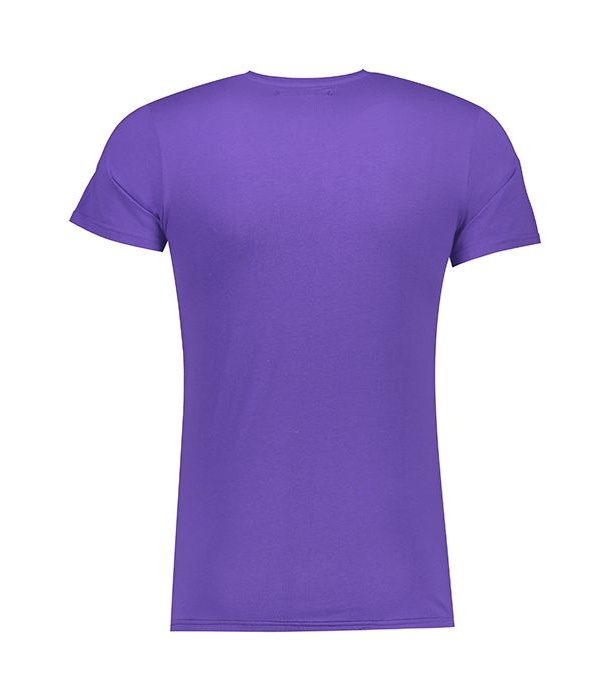تی شرت آستین کوتاه مردانه باینت کد 318-2 btt L مجموعه 2 عددی -  - 8
