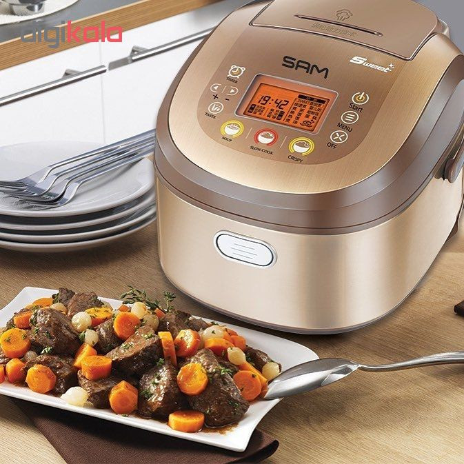 پلوپز سام مدل RC-2200