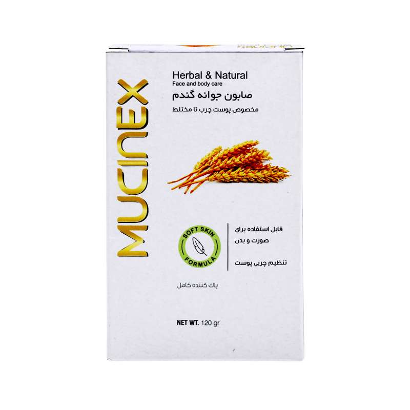 صابون شستشو ماسینکس مدل wheat germ وزن 120 گرم