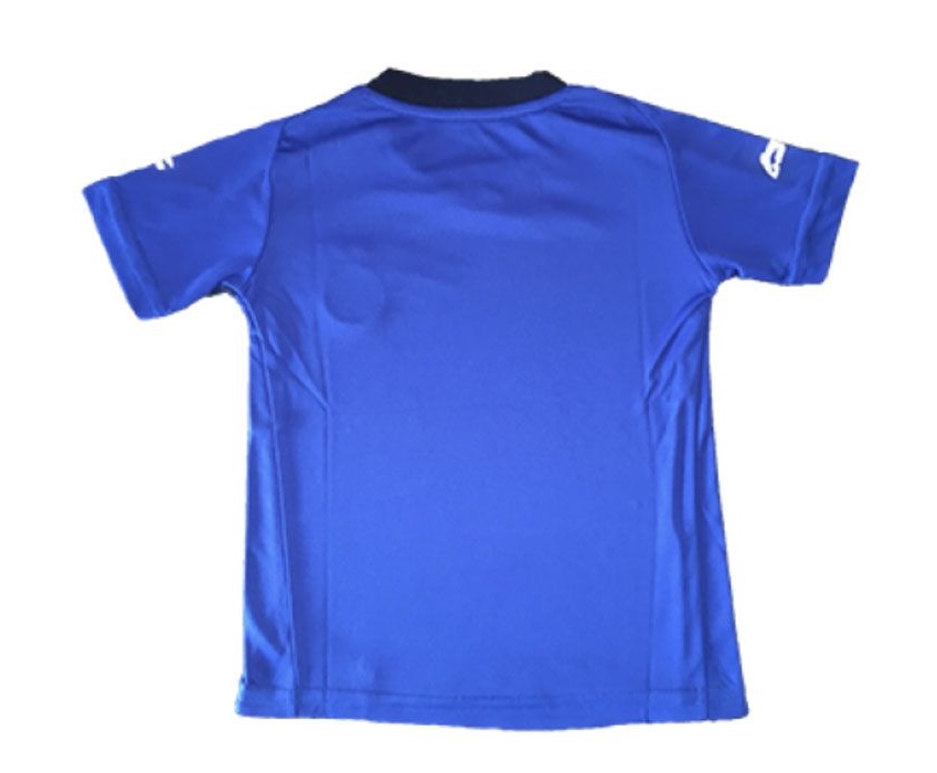 تی شرت ورزشی پسرانه لینینگ طرح تیم استقلال کد 1251