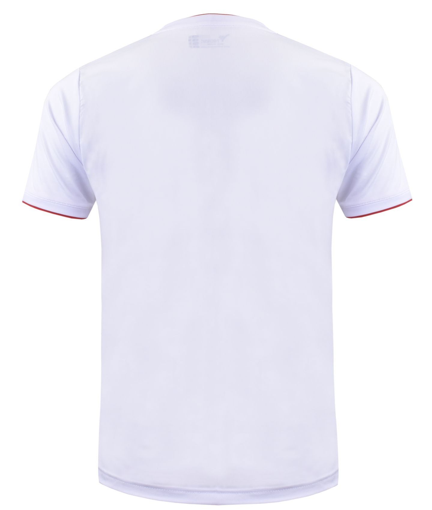 تی شرت ورزشی مردانه تکنیک پلاس 07 کد TS-139-SE-GH -  - 4