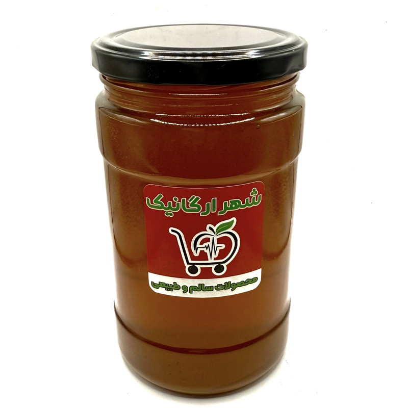 عسل گون طبیعی شهر ارگانیک - 1000 گرم