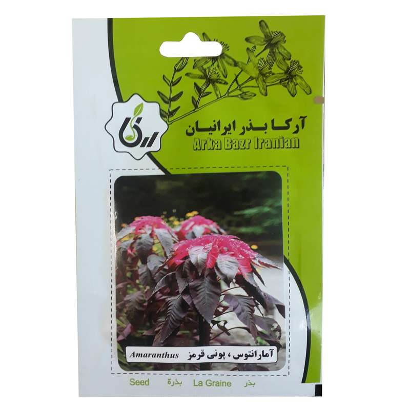 بذر گل آمارانتوس پونی قرمز آرکابذرایرانیان کد A39 بذر گل آمارانتوس پونی قرمز آرکابذرایرانیان کد A39
