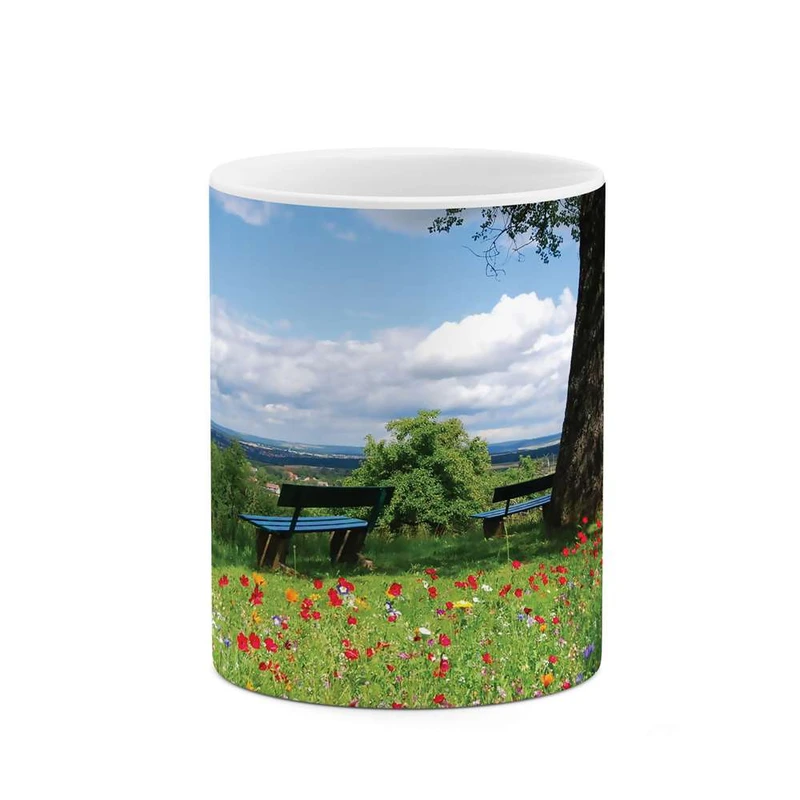 ماگ کاکتی مدل طبیعت کد mgh10113