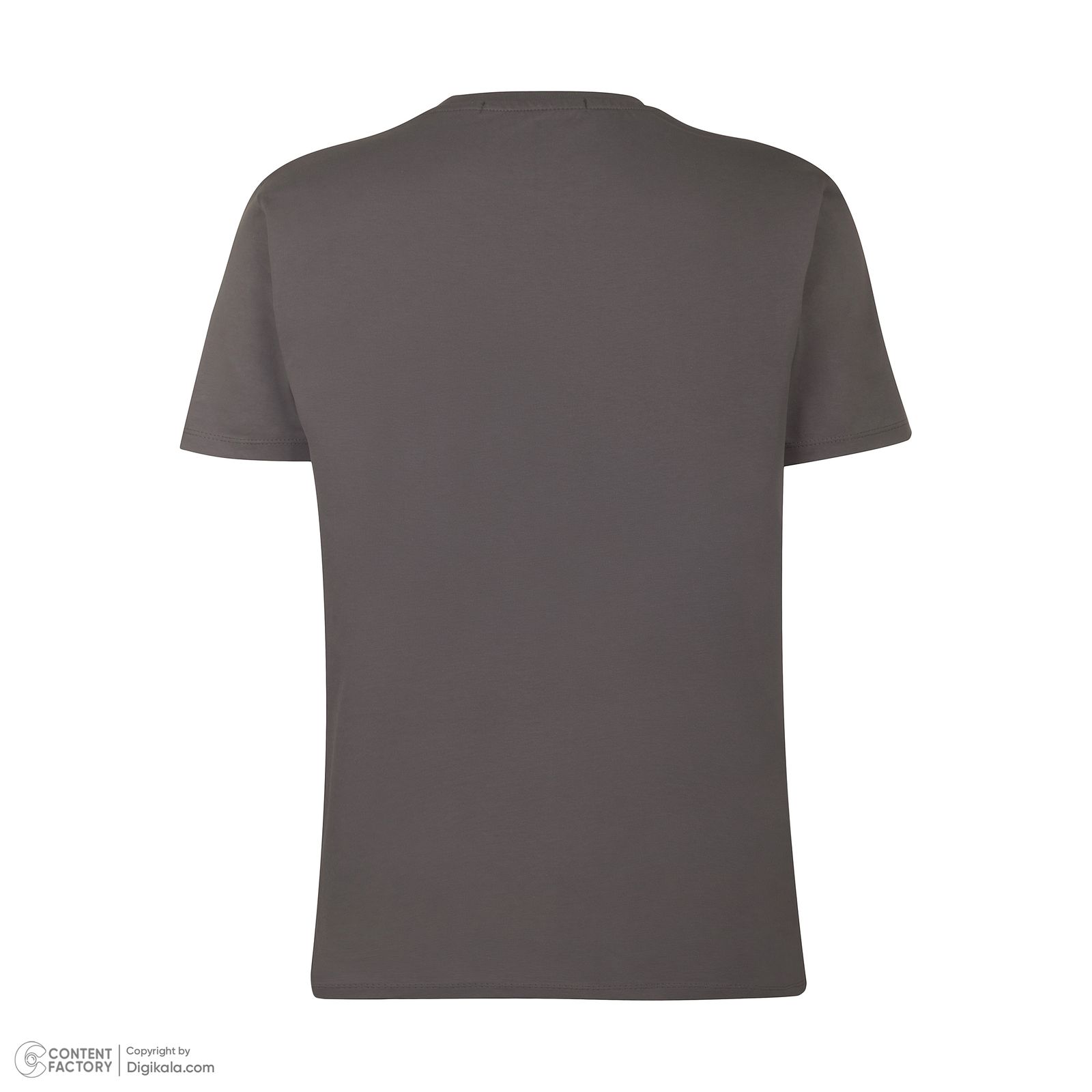 تی شرت آستین کوتاه مردانه باینت مدل 766-2 رنگ طوسی تیره -  - 5