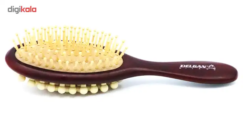 برس و ماساژور دو طرفه مو دلگان مدل HNS013-001-035
