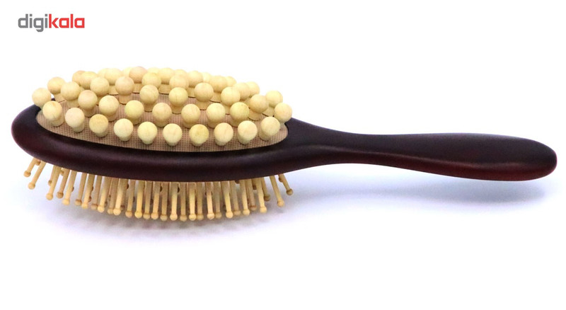برس و ماساژور دو طرفه مو دلگان مدل HNS013-001-035
