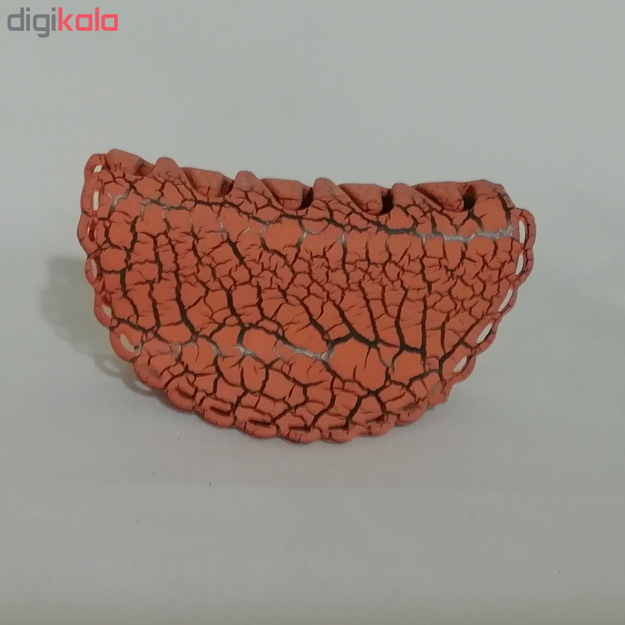 کلیپس مو زنانه کد 01