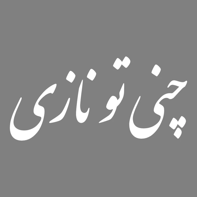 برچسب بدنه خودرو طرح چنی تو نازی کد MT-W484