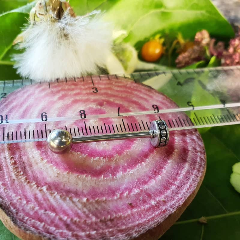 پیرسینگ گوش پایتخت مدل PS294