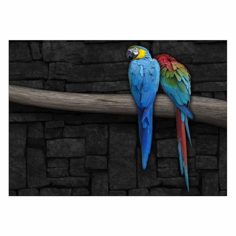 تابلو شاسی ونسونی طرح Canaries In Love سایز 30x40 سانتی متر