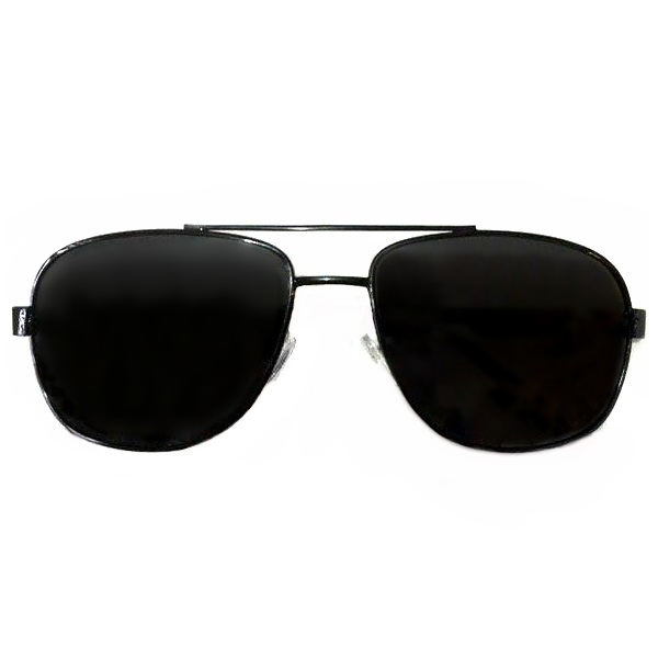 عینک آفتابی مردانه مدل EM20 سایز 55