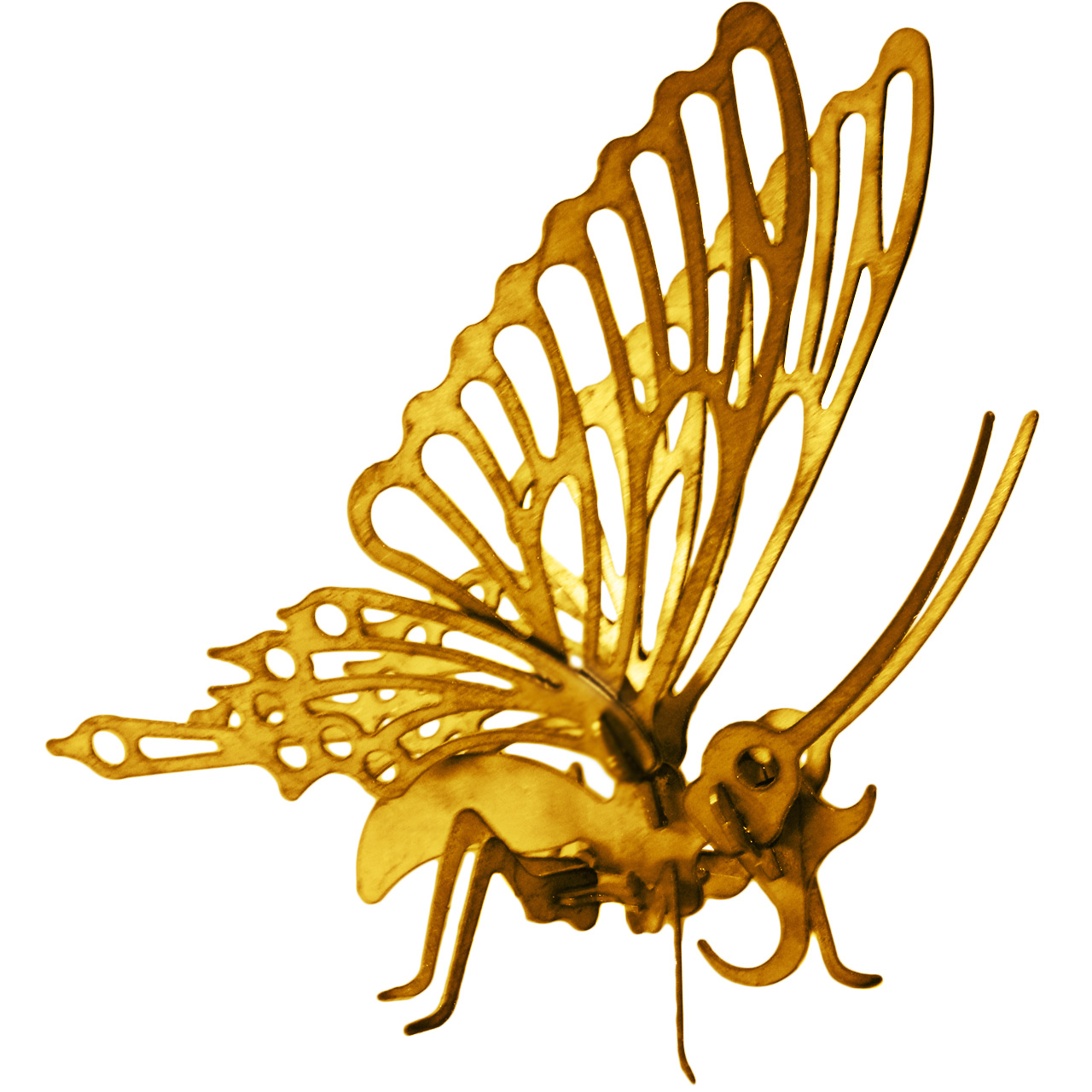 مجسمه پارسینا مدل پروانه