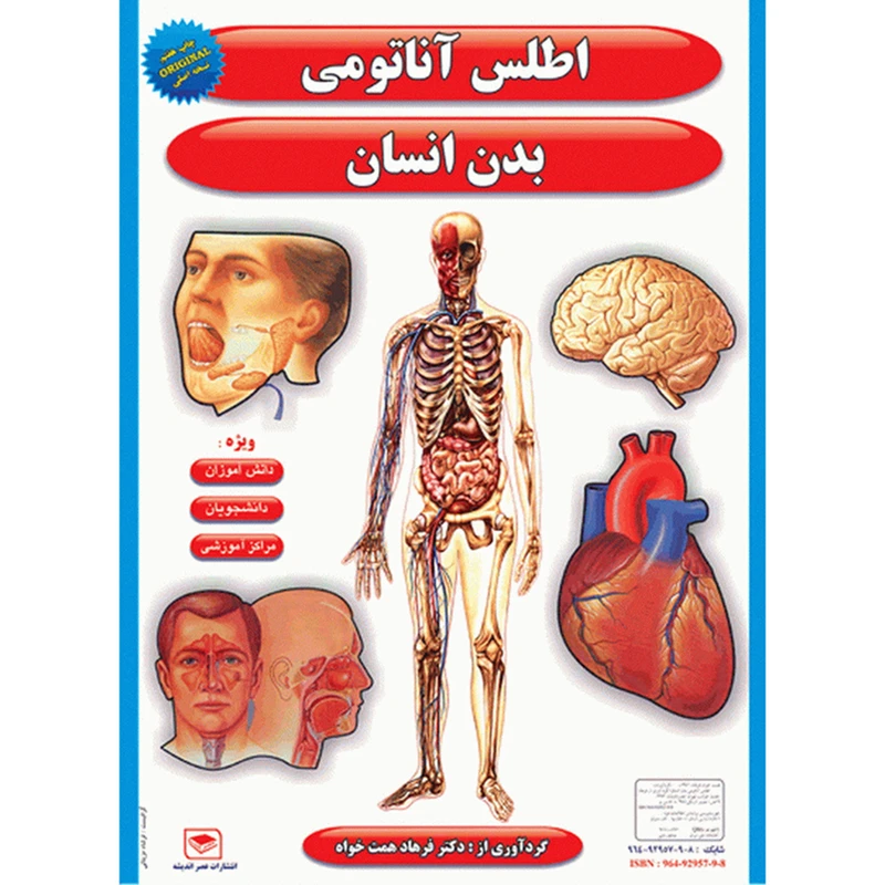 پوستر طرح اطلس آناتومی بدن انسان مجموعه 15 عددی