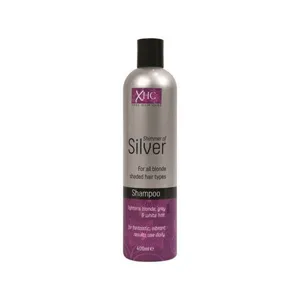 شامپو مو اکسپل مدل Silver حجم 400 میلی لیتر