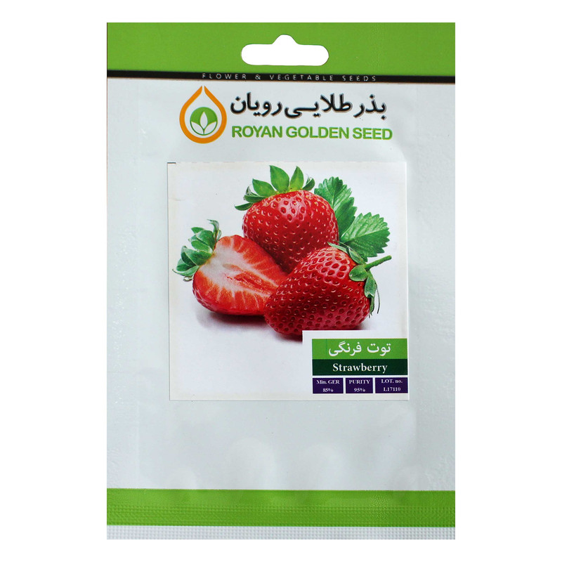  بذر توت فرنگی بذر طلایی رویان کد BZT-134