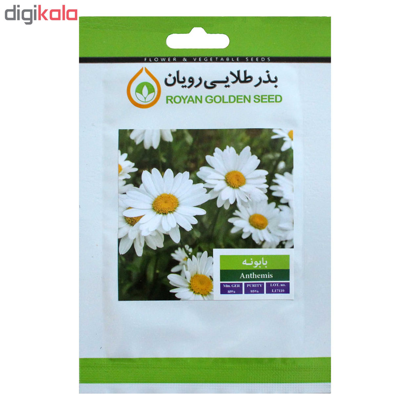 بذر گیاه بابونه بذر طلایی رویان کد BZT-127